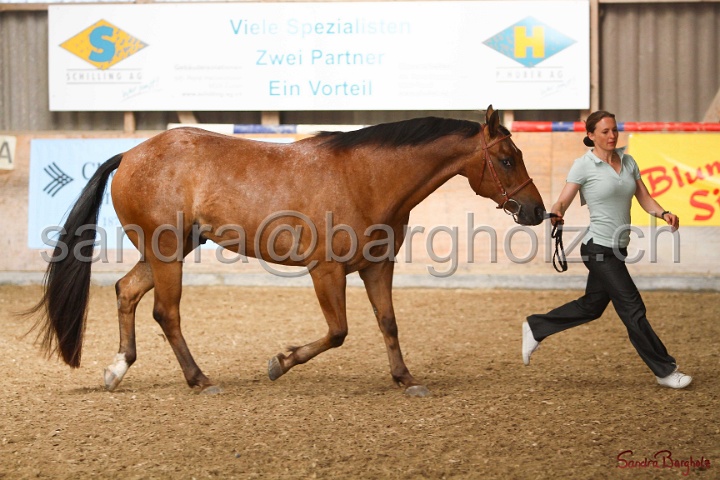 24-ApHC HIH_124.jpg
